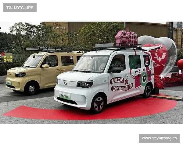 五菱之光EV 4万多买它!侧滑门!超能拉!还能挣钱给你,不拿下? 五菱之光EV 4万多买它!侧滑门!超能拉!还能挣钱给你,不拿下?