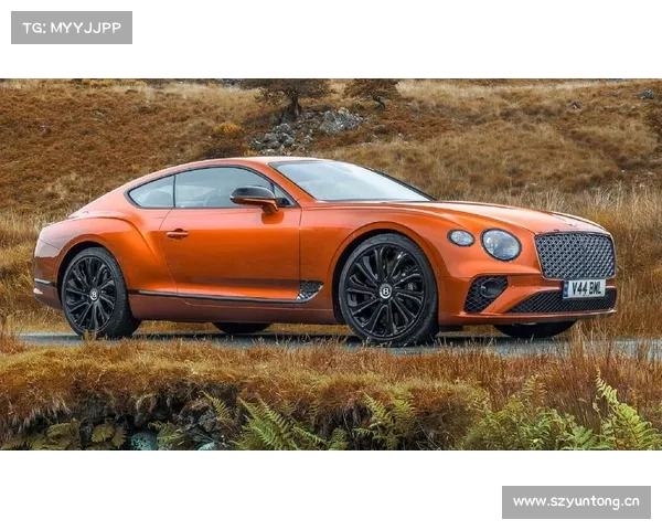 全新欧陆GT官图发布 法兰克福车展亮相